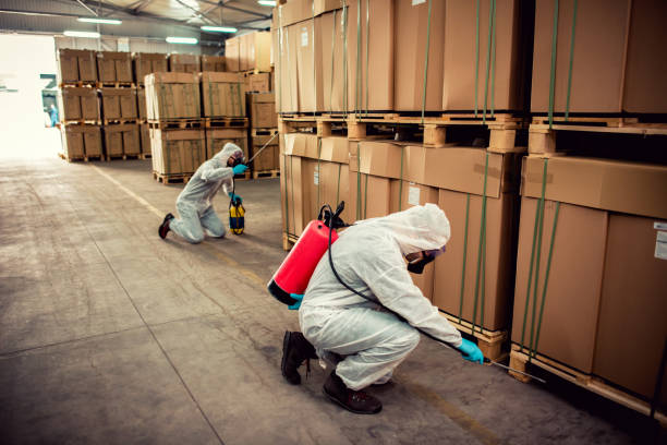 Best Pest Inspection Near Me  in El Centro, CA