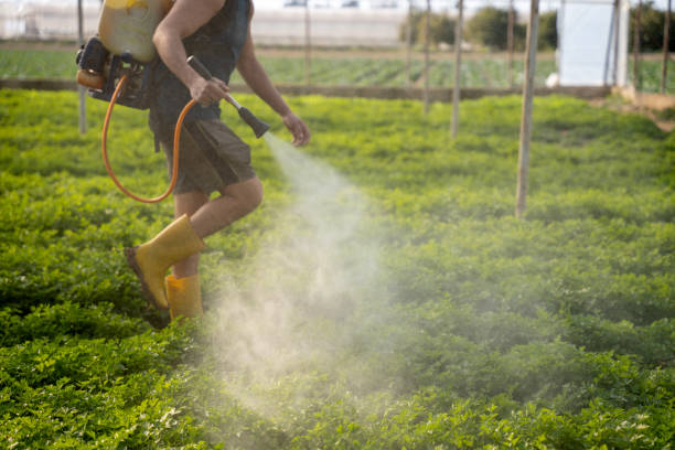 Best Residential Pest Control  in El Centro, CA