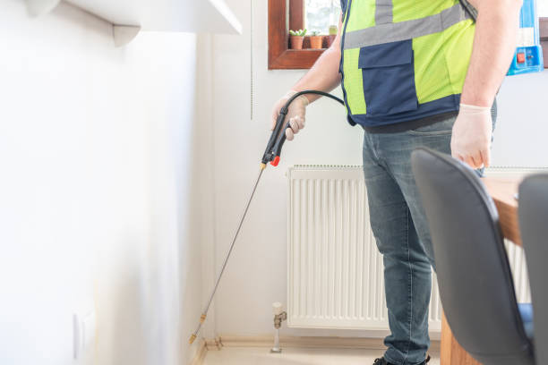 Trusted El Centro, CA Pest Control Experts